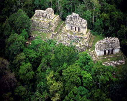 SELVA_CHIAPAS